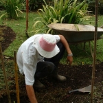 What Healers Can Learn From Gardening