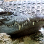 YOU Need to DO Something. No, I Don’t.