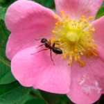 A Million Grains of Sand