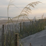 Letting Go of the Cubicle