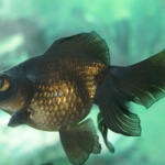 What People Buy at 3 a.m. at Wal-Mart