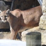 Patience – Not Risk