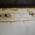 Gulfstream RV Owners Consider Class Action Suit