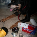 Trusting the Universe