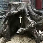 9 Harbingers of Judgment