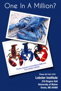 LobsterCover LobsterCover